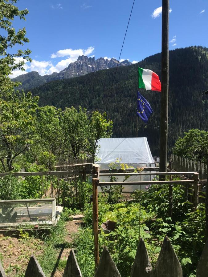 Casa Soraya Appartement Falcade Buitenkant foto