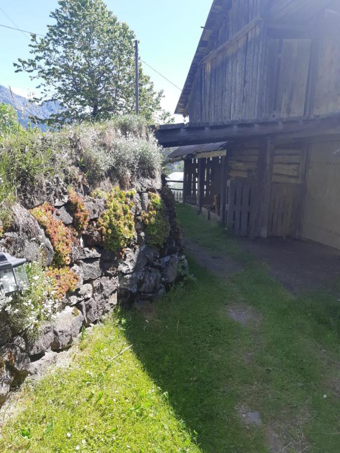 Casa Soraya Appartement Falcade Buitenkant foto